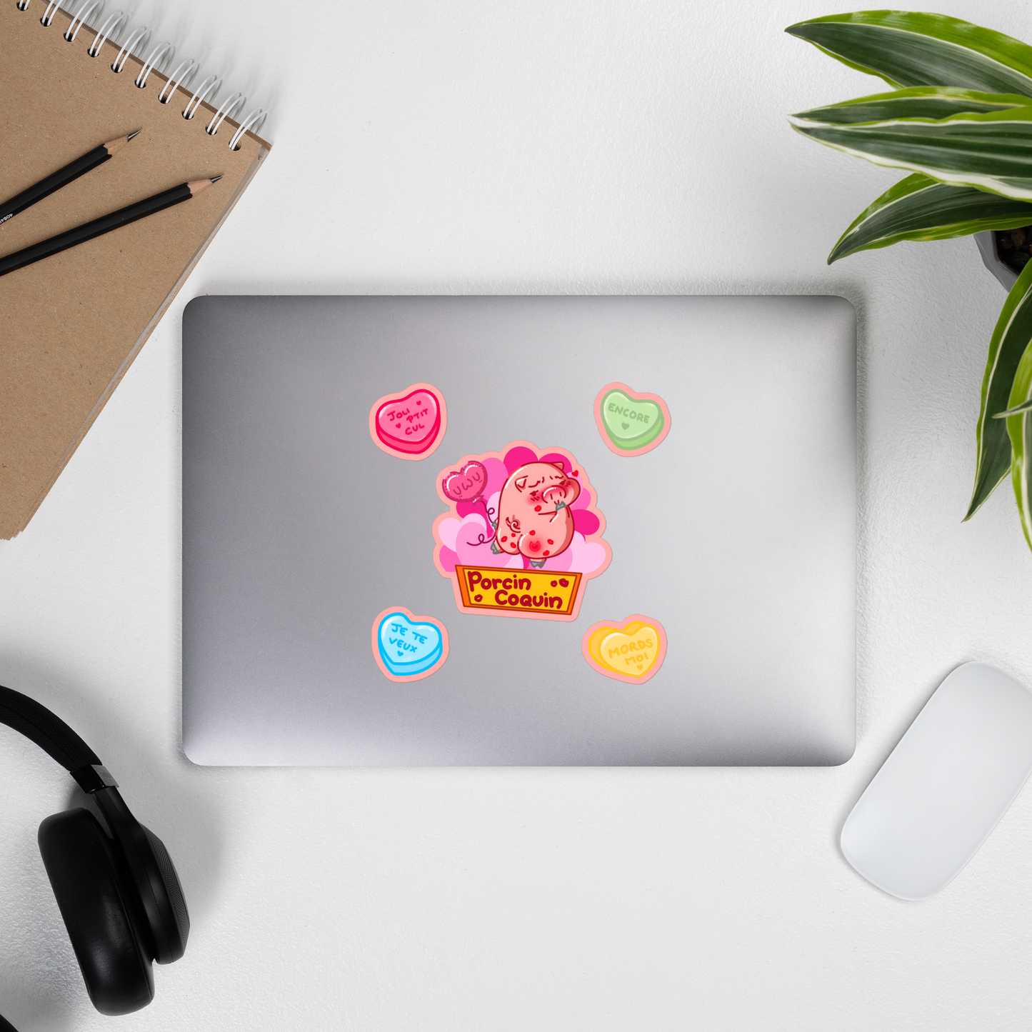Stickers Porcin coquin