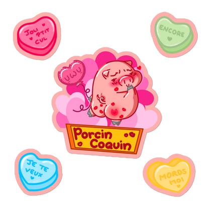 Stickers Porcin coquin