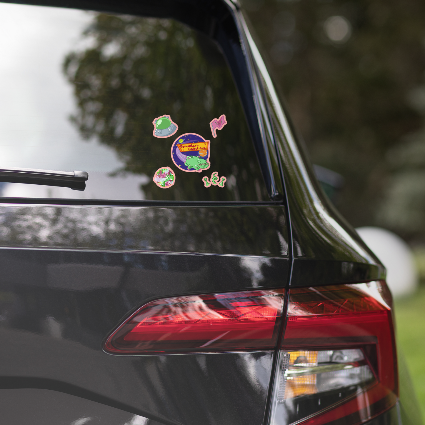 Stickers Porcintergalactique